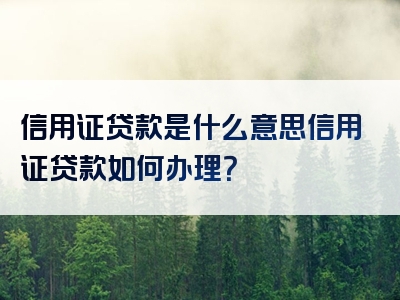 信用证贷款是什么意思信用证贷款如何办理？