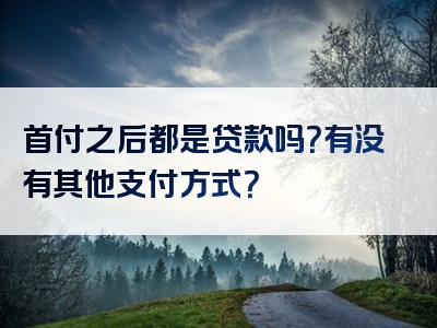 首付之后都是贷款吗？有没有其他支付方式？