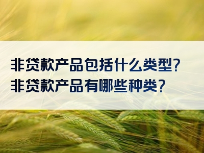 非贷款产品包括什么类型？非贷款产品有哪些种类？