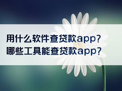 用什么软件查贷款app？哪些工具能查贷款app？