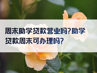 周末助学贷款营业吗？助学贷款周末可办理吗？