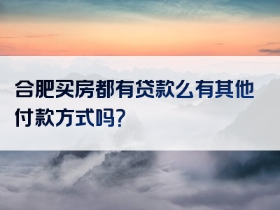 合肥买房都有贷款么有其他付款方式吗？