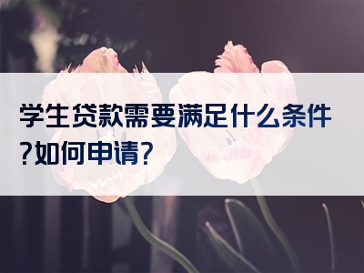 学生贷款需要满足什么条件？如何申请？