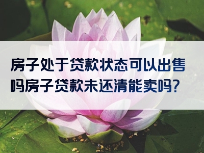 房子处于贷款状态可以出售吗房子贷款未还清能卖吗？