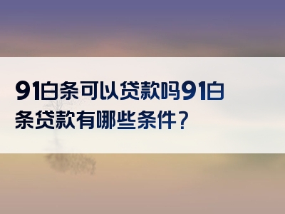 91白条可以贷款吗91白条贷款有哪些条件？