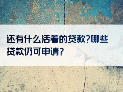 还有什么活着的贷款？哪些贷款仍可申请？