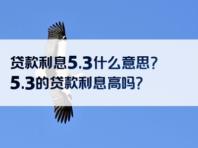 贷款利息5.3什么意思？5.3的贷款利息高吗？