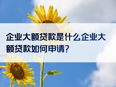 企业大额贷款是什么企业大额贷款如何申请？