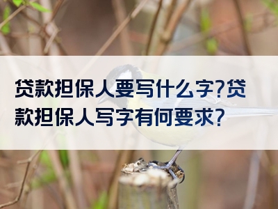 贷款担保人要写什么字？贷款担保人写字有何要求？