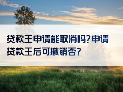 贷款王申请能取消吗？申请贷款王后可撤销否？