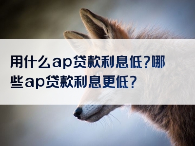 用什么ap贷款利息低？哪些ap贷款利息更低？