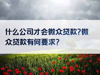 什么公司才会微众贷款？微众贷款有何要求？