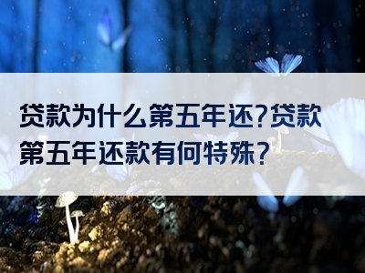 贷款为什么第五年还？贷款第五年还款有何特殊？