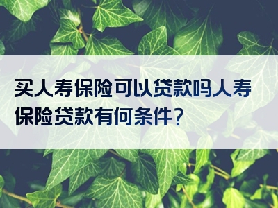 买人寿保险可以贷款吗人寿保险贷款有何条件？