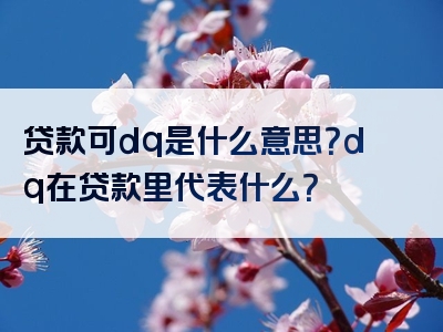 贷款可dq是什么意思？dq在贷款里代表什么？