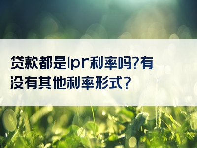 贷款都是lpr利率吗？有没有其他利率形式？