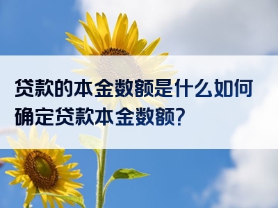 贷款的本金数额是什么如何确定贷款本金数额？