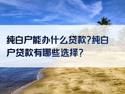 纯白户能办什么贷款？纯白户贷款有哪些选择？