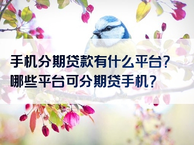 手机分期贷款有什么平台？哪些平台可分期贷手机？