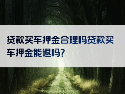 贷款买车押金合理吗贷款买车押金能退吗？