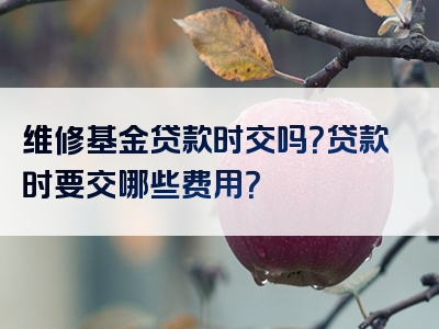 维修基金贷款时交吗？贷款时要交哪些费用？