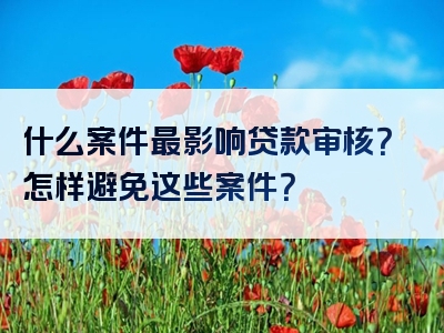 什么案件最影响贷款审核？怎样避免这些案件？