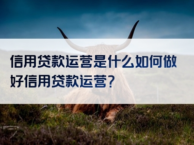 信用贷款运营是什么如何做好信用贷款运营？