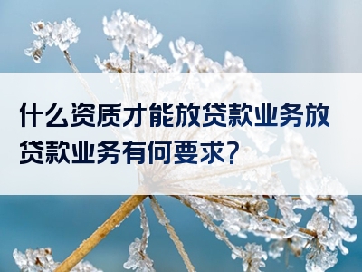 什么资质才能放贷款业务放贷款业务有何要求？