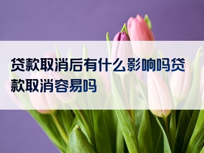 贷款取消后有什么影响吗贷款取消容易吗