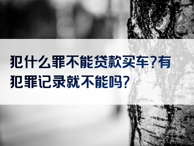 犯什么罪不能贷款买车？有犯罪记录就不能吗？