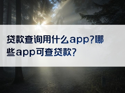 贷款查询用什么app？哪些app可查贷款？