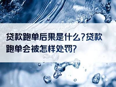 贷款跑单后果是什么？贷款跑单会被怎样处罚？