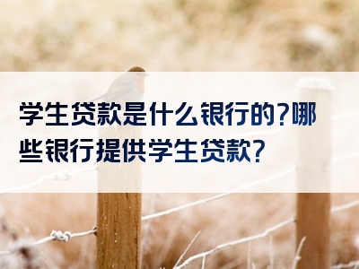 学生贷款是什么银行的？哪些银行提供学生贷款？