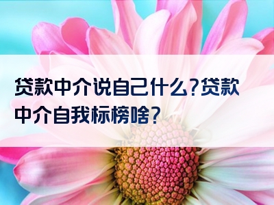 贷款中介说自己什么？贷款中介自我标榜啥？