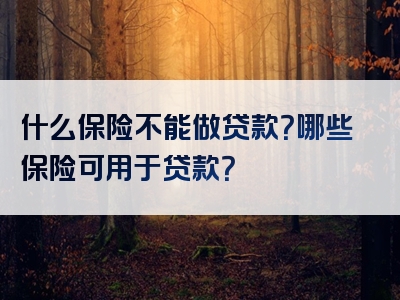 什么保险不能做贷款？哪些保险可用于贷款？