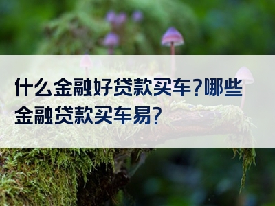 什么金融好贷款买车？哪些金融贷款买车易？