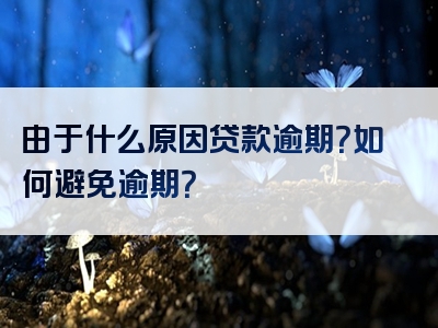 由于什么原因贷款逾期？如何避免逾期？