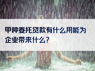 甲种委托贷款有什么用能为企业带来什么？