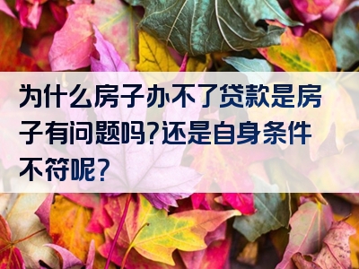 为什么房子办不了贷款是房子有问题吗？还是自身条件不符呢？