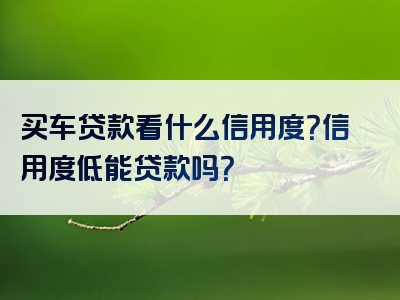 买车贷款看什么信用度？信用度低能贷款吗？