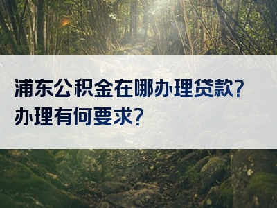 浦东公积金在哪办理贷款？办理有何要求？