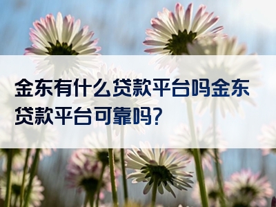 金东有什么贷款平台吗金东贷款平台可靠吗？