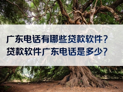 广东电话有哪些贷款软件？贷款软件广东电话是多少？