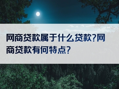 网商贷款属于什么贷款？网商贷款有何特点？