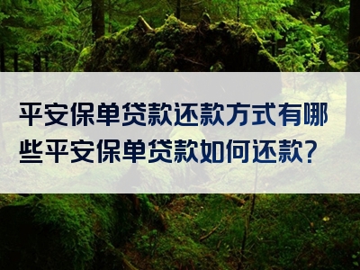 平安保单贷款还款方式有哪些平安保单贷款如何还款？