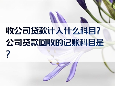 收公司贷款计入什么科目？公司贷款回收的记账科目是？