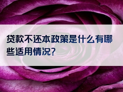 贷款不还本政策是什么有哪些适用情况？