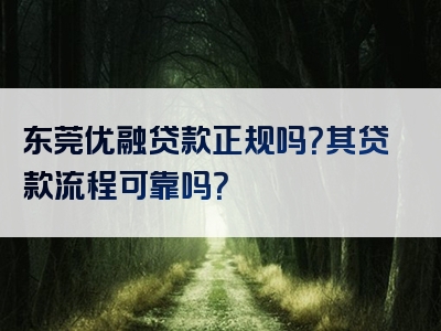 东莞优融贷款正规吗？其贷款流程可靠吗？