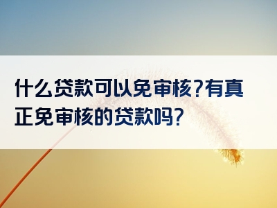 什么贷款可以免审核？有真正免审核的贷款吗？