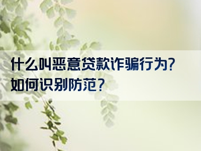 什么叫恶意贷款诈骗行为？如何识别防范？